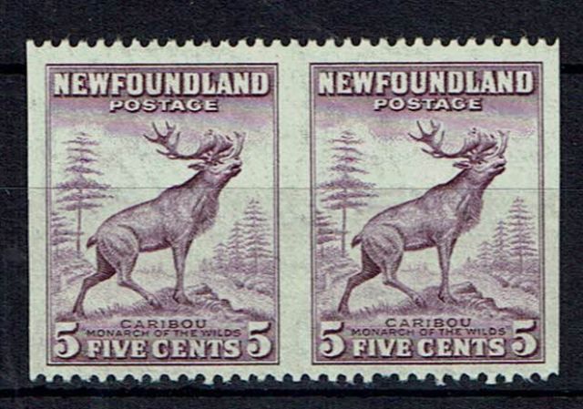 Image of Canada-Newfoundland SG 280ad UMM British Commonwealth Stamp